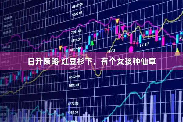 日升策略 红豆杉下，有个女孩种仙草