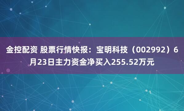金控配资 股票行情快报：宝明科技（002992）6月23日主力资金净买入255.52万元