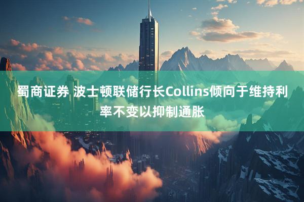 蜀商证券 波士顿联储行长Collins倾向于维持利率不变以抑制通胀
