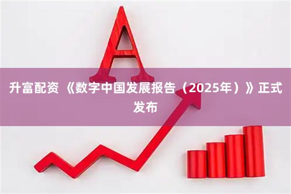 升富配资 《数字中国发展报告（2025年）》正式发布